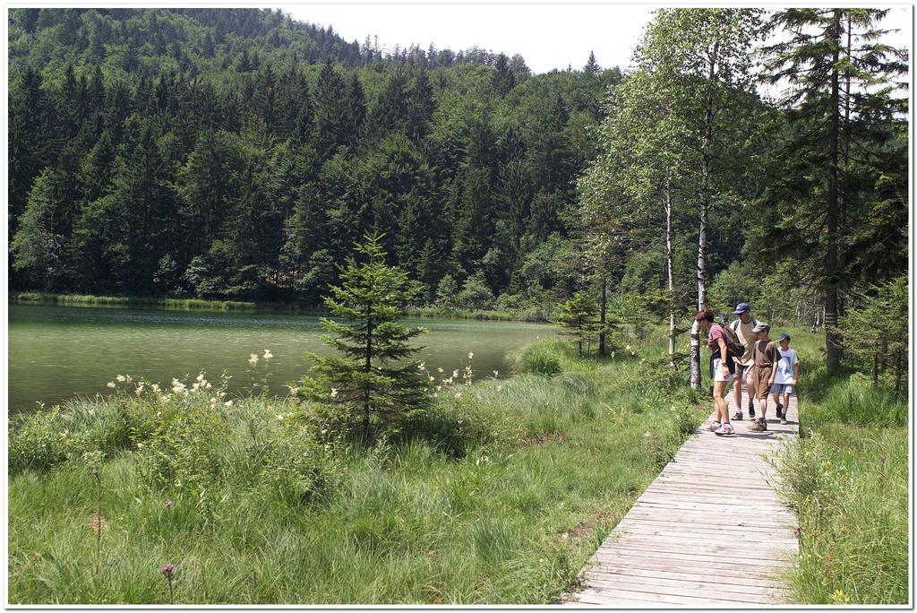 Aktivhotel & Gasthof Schmelz Ihr Urlaubs Hotel In Inzell Mit Wellness Hallenbad, Alpensauna & Dampfbad Eksteriør bilde